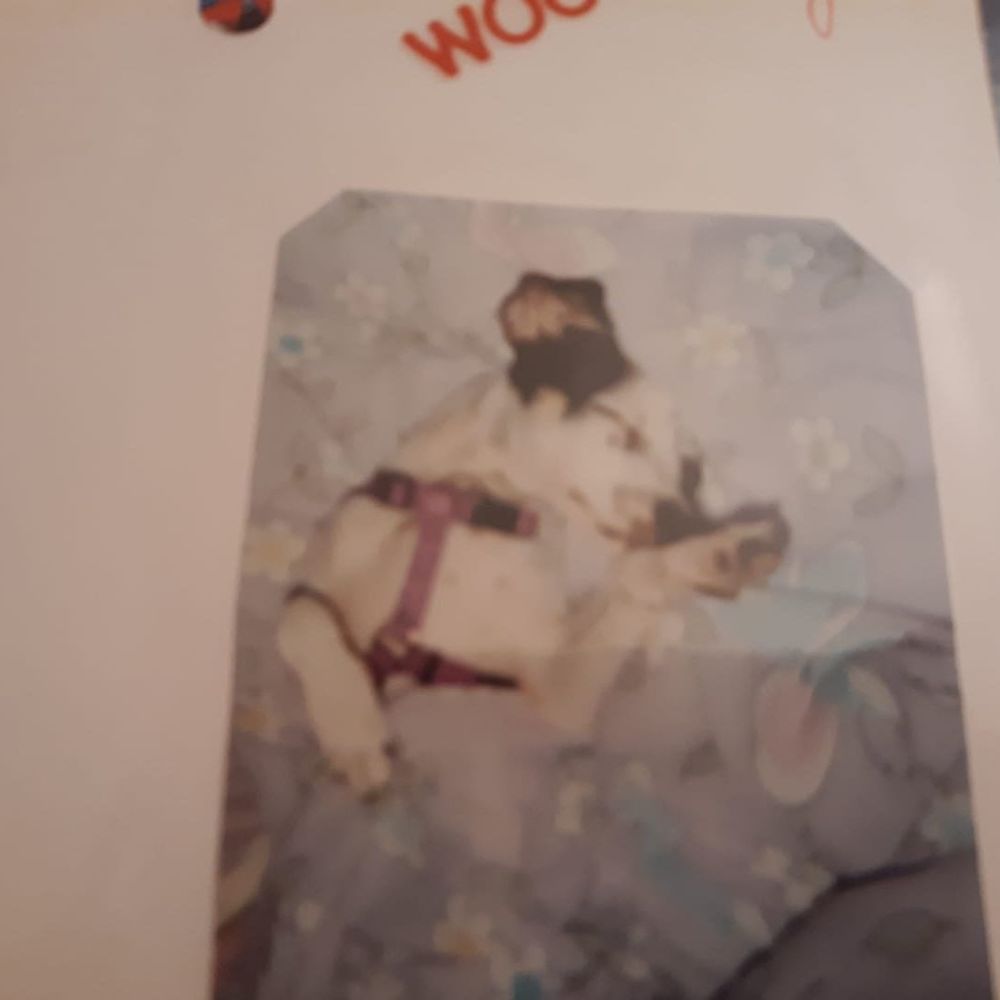 Meet your Posher, Mellissa